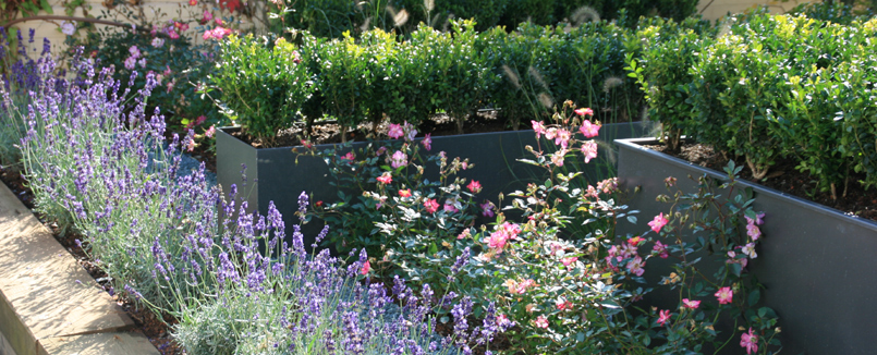 Begrünung einer Dachterrasse mit Pflanzgefäßen, Stauden und Rosen