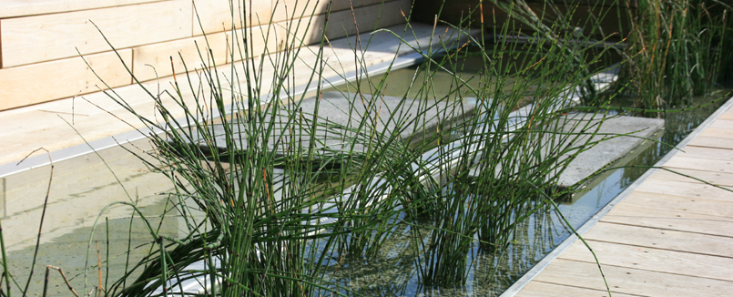 Wasserbecken aus Edelstahl mit Trittplatten und Wasserpflanzen