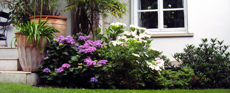 Gepflegter Privatgarten mit blühenden Beeten